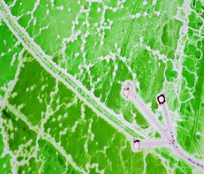 青海西寧+青海湖+茶卡鹽湖+敦煌+嘉峪關+張掖8日7晚私家團